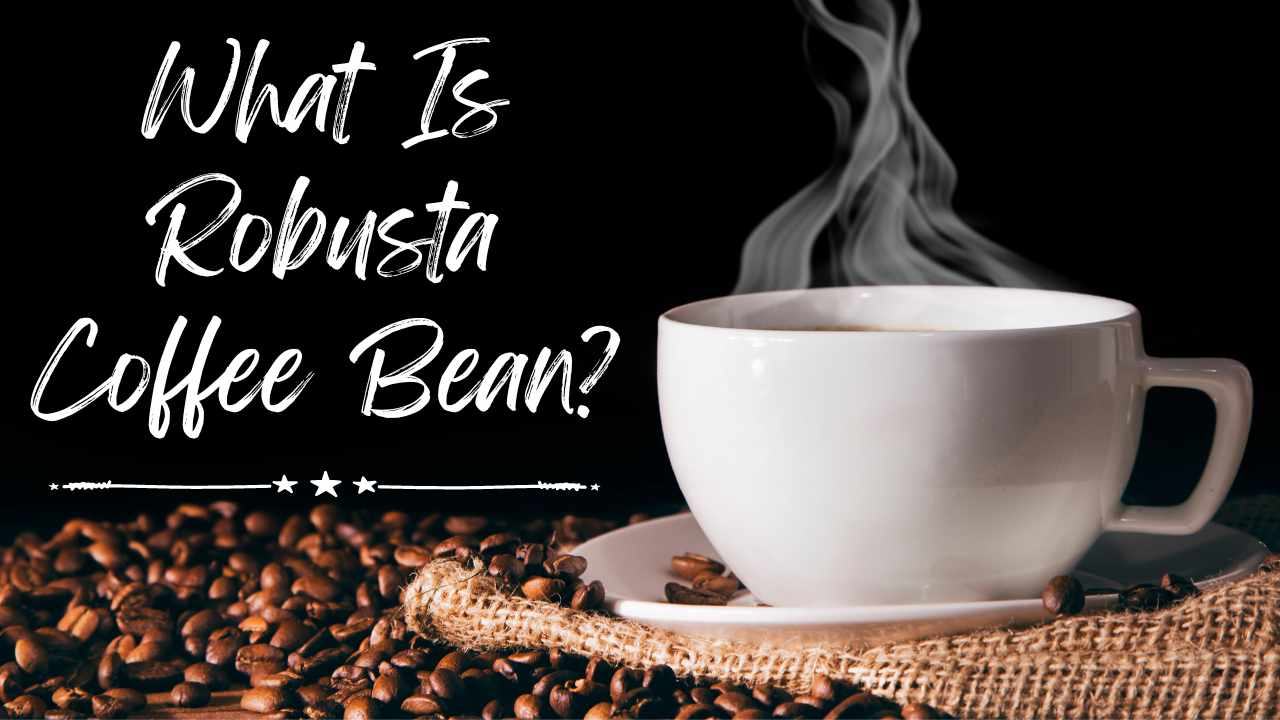what is robusta coffee bean