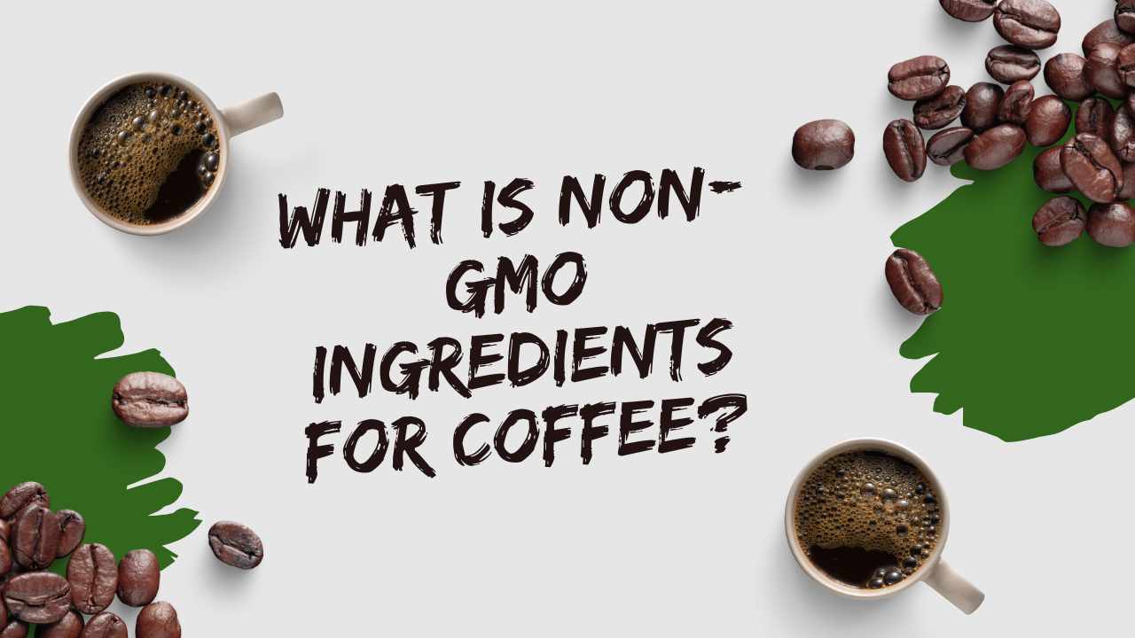 non-gmo ingredients
